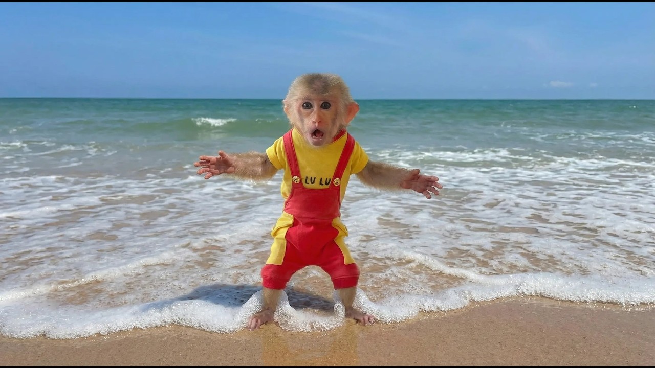 Wow! Lulu&rsquo;s Adorable Reaction to the Beach for the First Time
