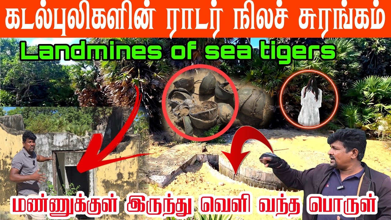 🛑🐋  முல்லை சாலைப் பகுதியில்  பாரிய பதுங்குகுழி மண்ணுக்குள் புதைந்து வெளிவந்த ஆபத்தன பொருள் 