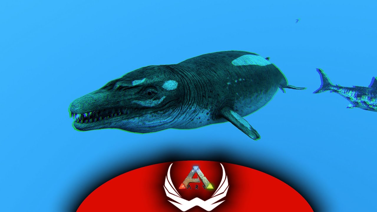 Basilo Preparation For Underwater Caves | Journey Through the Ark | EP38