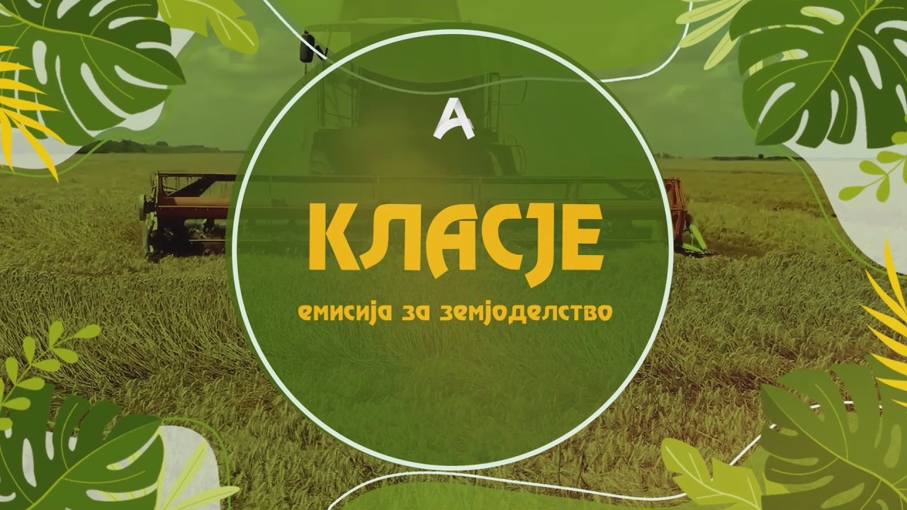 КЛАСЈЕ - епизода 25