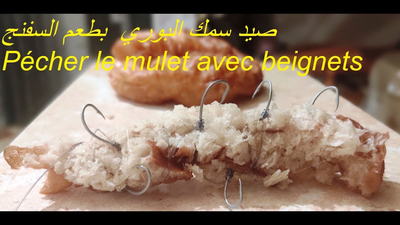 pécher des gros mulet avec du beignet sandwich كيفية التطعيم  بالسفنج لاستهداف البوري الكبير ساندويش