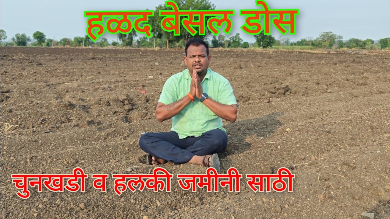 हळद बेसल डोस चुनखडी व हलकी जमीनी साठी#हळद #agriculture