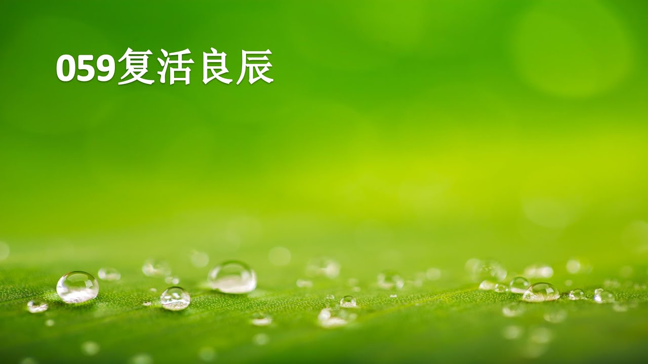 059复活良辰