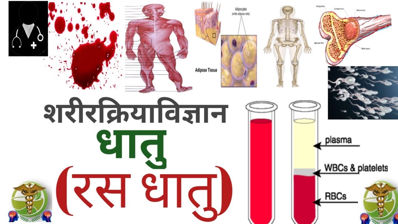 bams first year lecture l Ras Dhatu (रस धातु)  l Sharir Kriya l EASY EXPLANATION