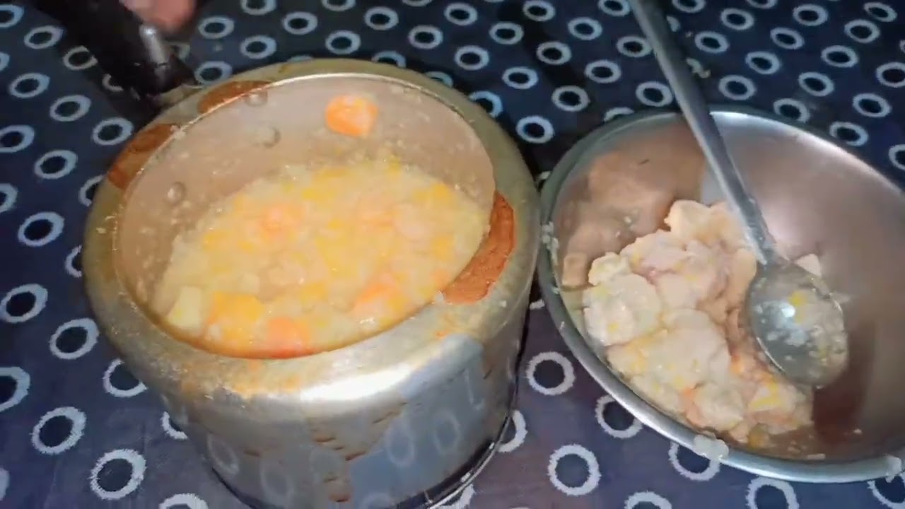 HOMEMADE HEALTHY CAT food // 