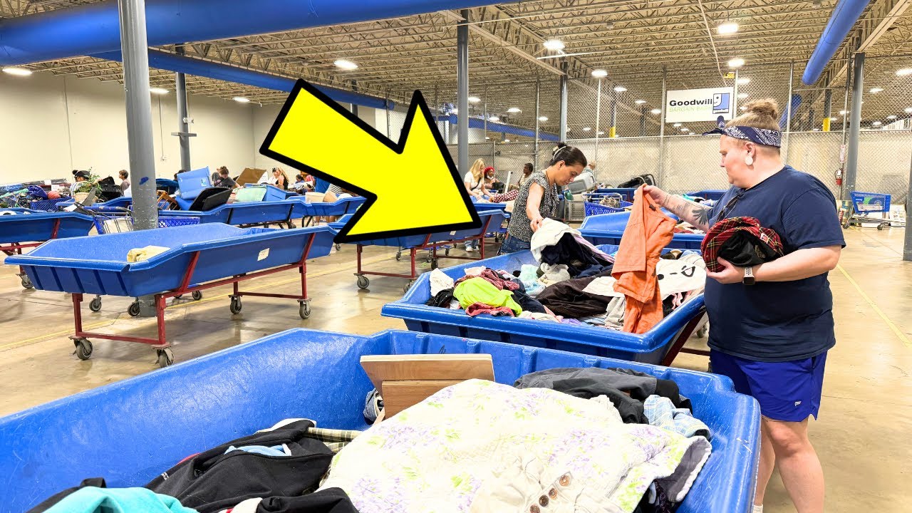 Her First Time at the Goodwill Bins – Did We Just Strike Gold? | $10K Flip Challenge Ep. 3