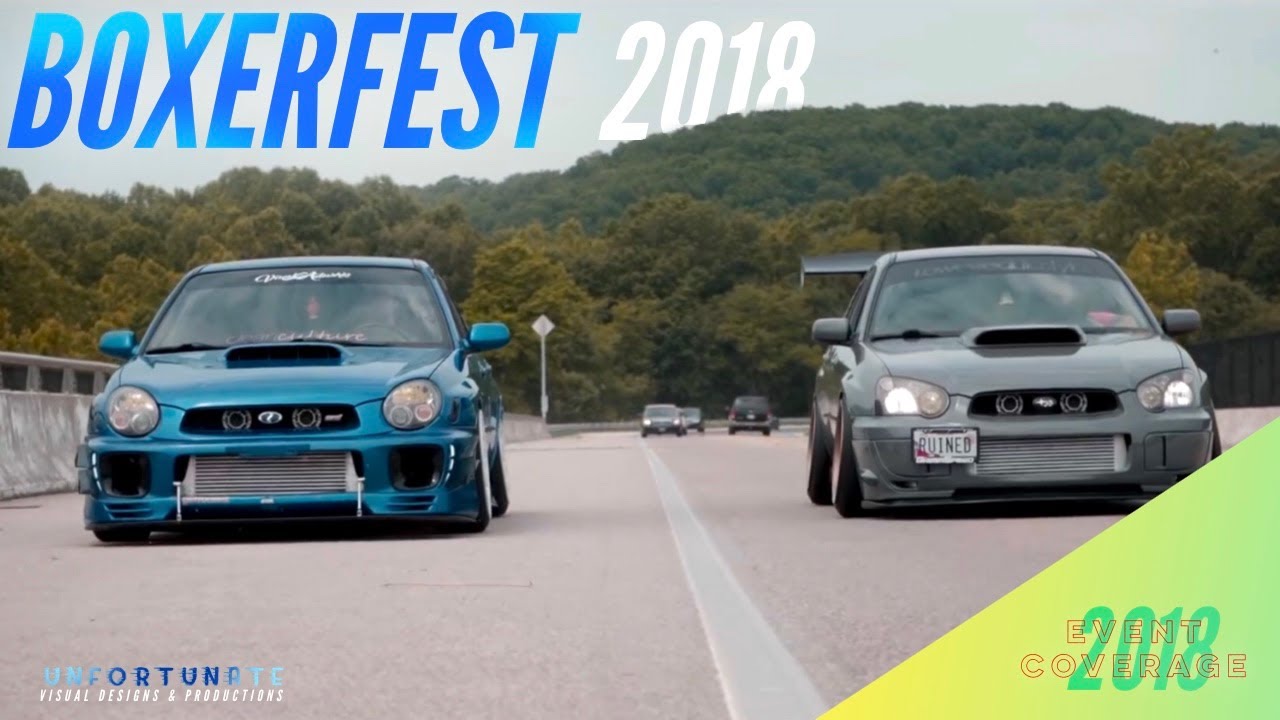 Boxerfest 2018: The Film