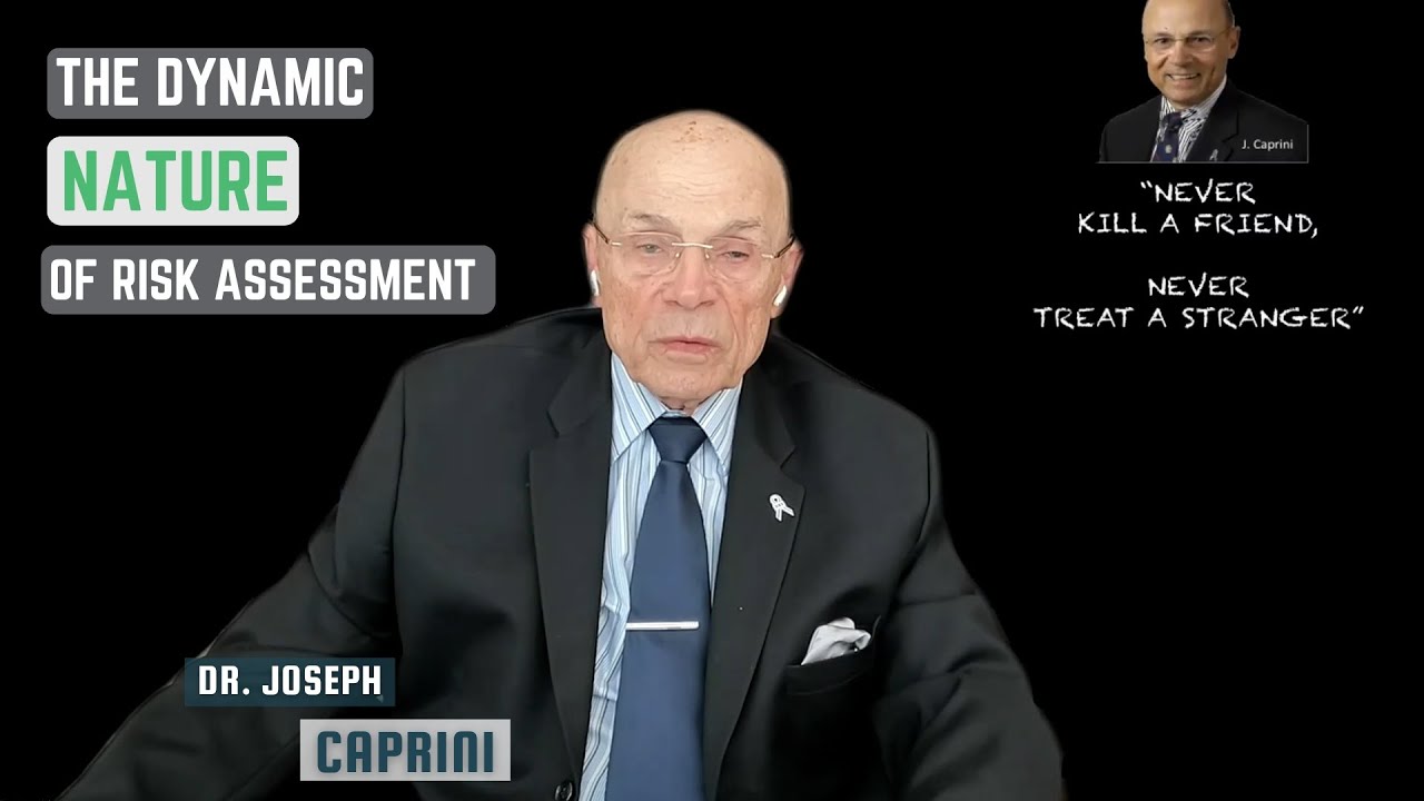 The Dynamic Nature of Risk Assessment