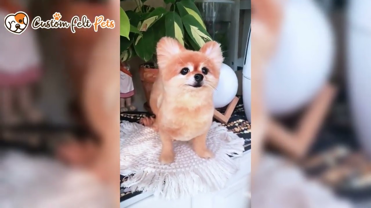 Design Your Custom Needle Felted Pet! Shop Now  