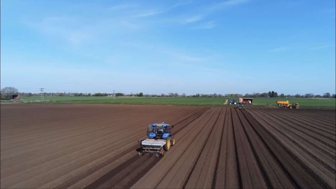 Potato planting 2025