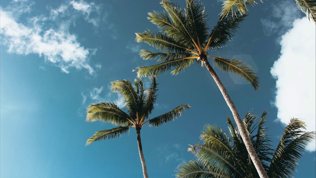 G-Funk Type Beat - 
