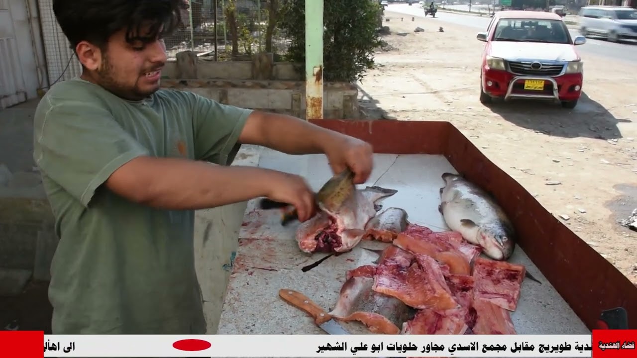 محل أبو كرار لبيع الأسماك البحرية