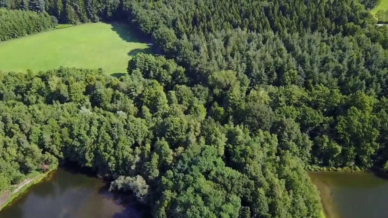Overhetfeld von oben