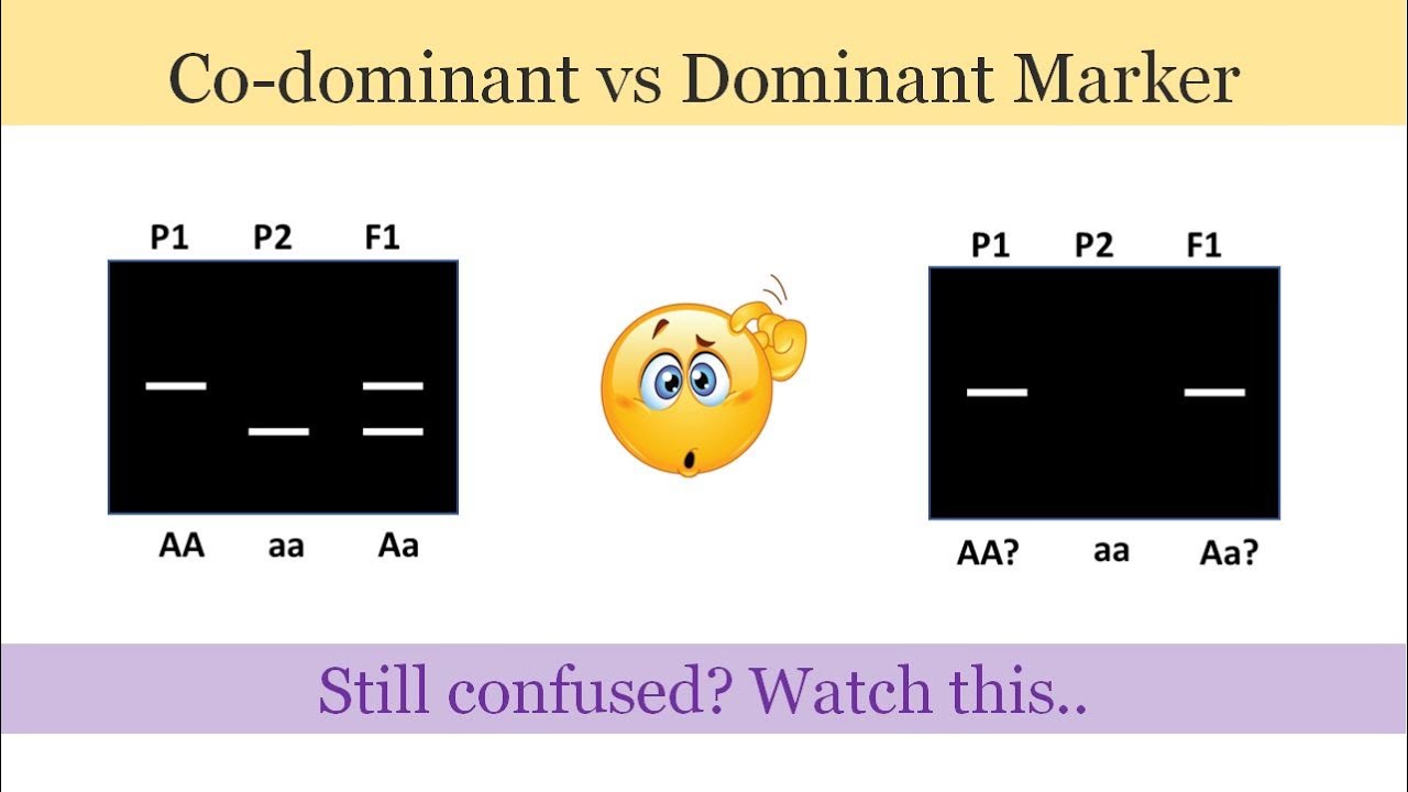 Dominant and Co-dominant Marker. Clear the difference between the two.