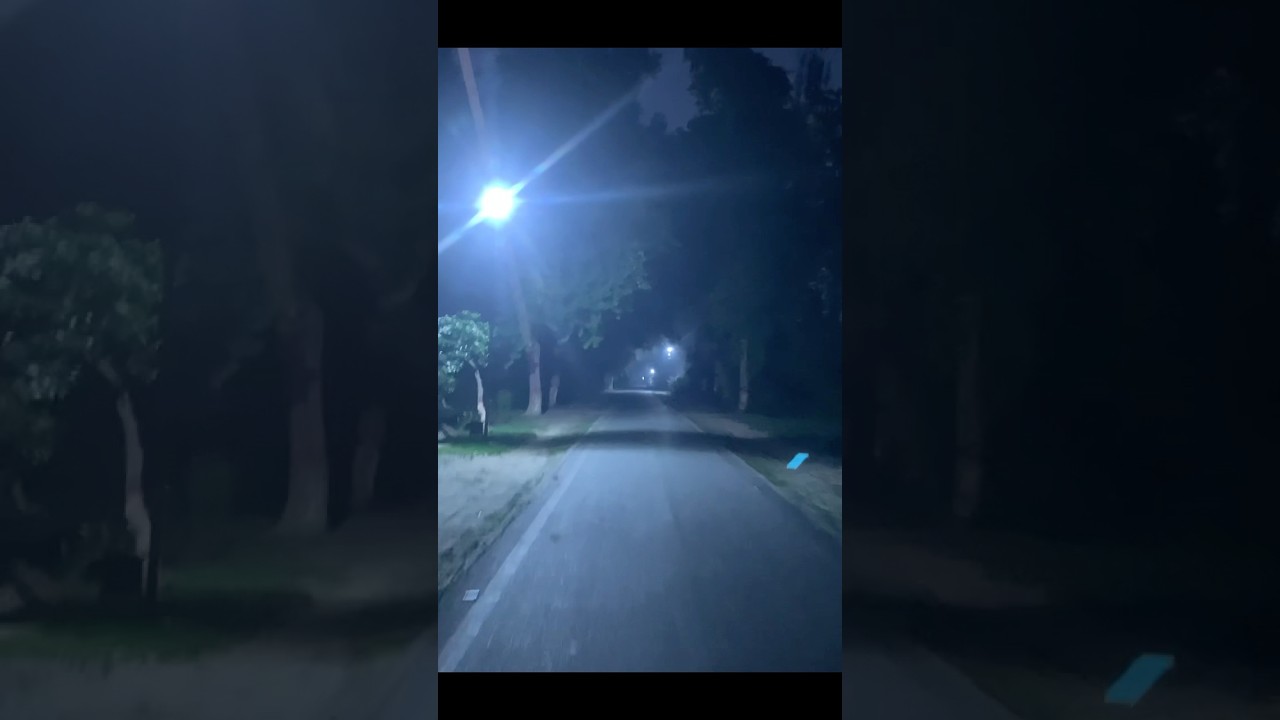 Jallo Forest Safari at Night | #shorts #short #youtube #youtubeshorts #trending #trendingshorts