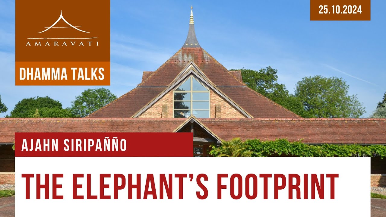 The Elephant's Footprint | Ajahn Siripañño | 25.10.2024