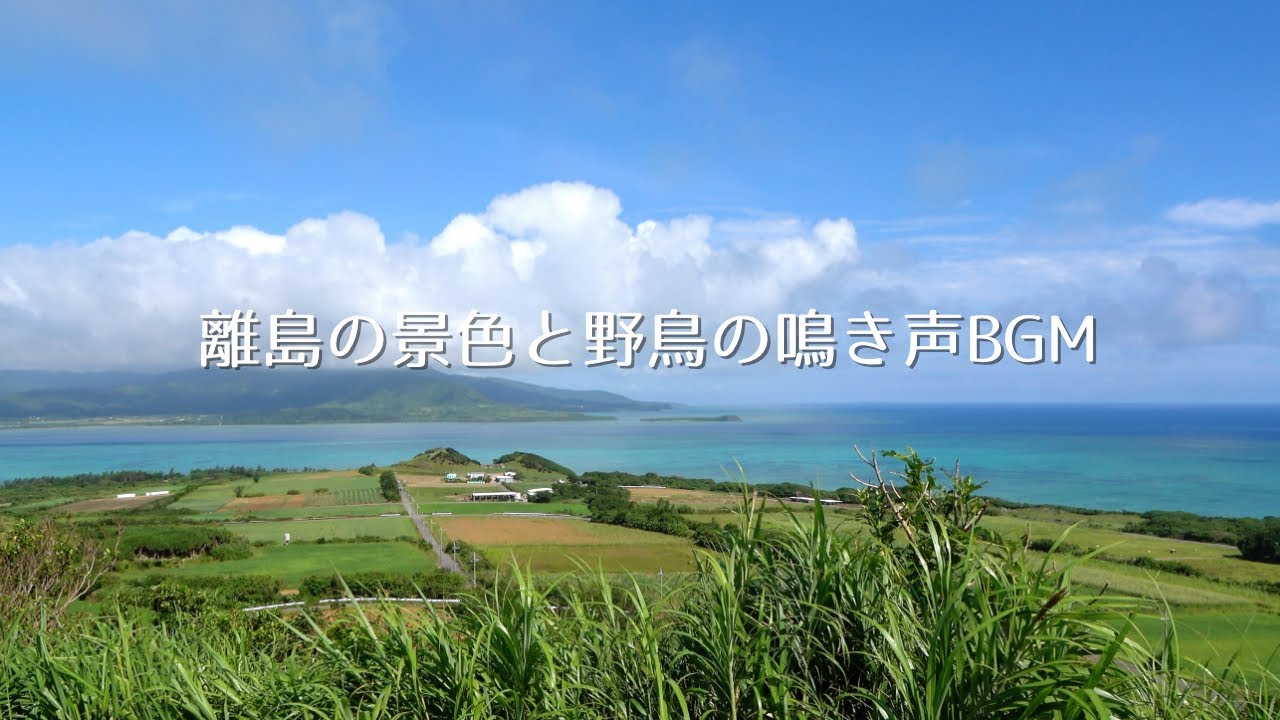 癒しの自然音 | 離島の山から見下ろす青い海と野鳥のさえずりBGM20分