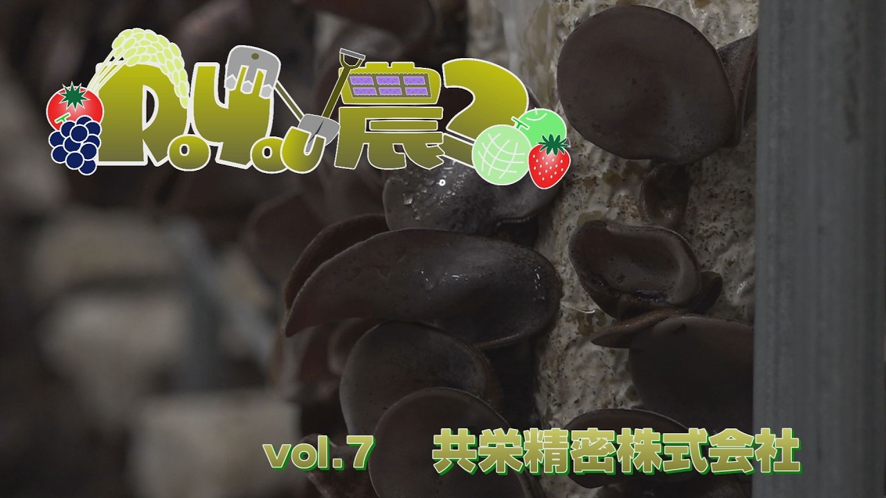 DoYou農？vol.7 キクラゲ(共栄精密）