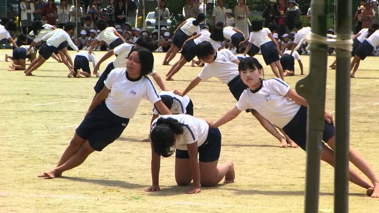 SANY0008.wmv