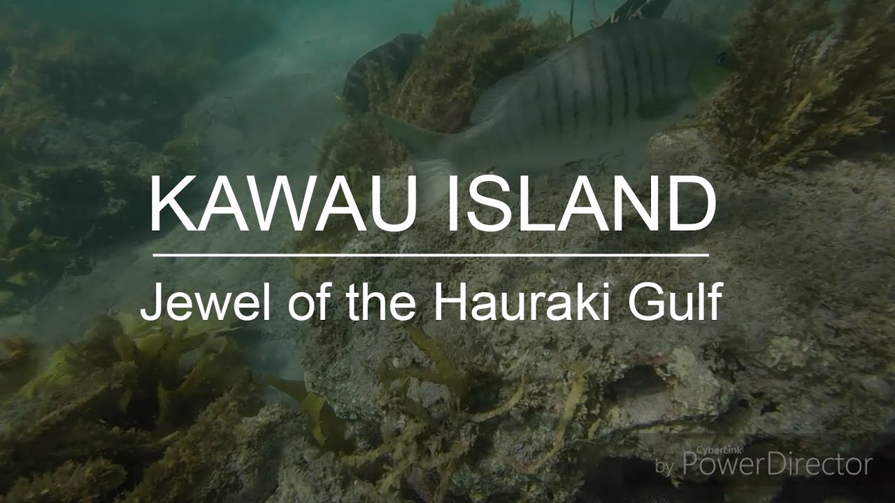 Kawau Island -- New Zealand