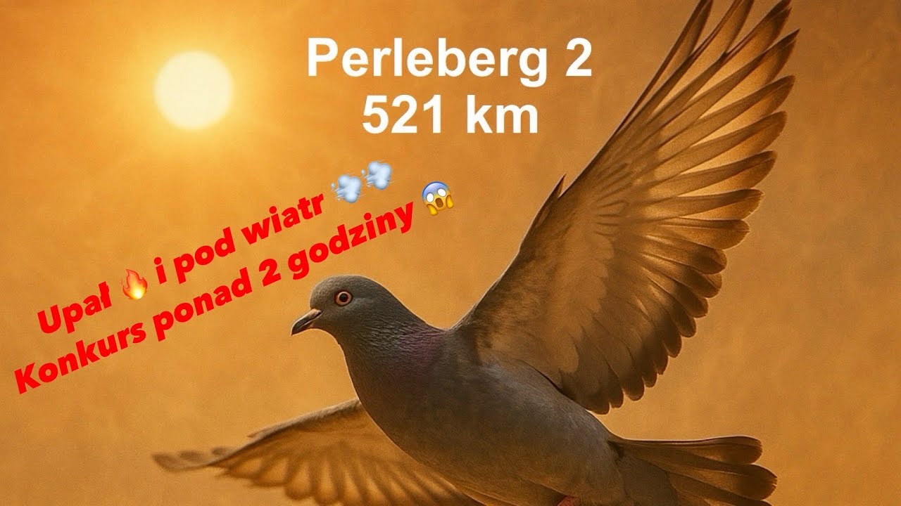 Lot nr 7   Perleberg 2 - 520km