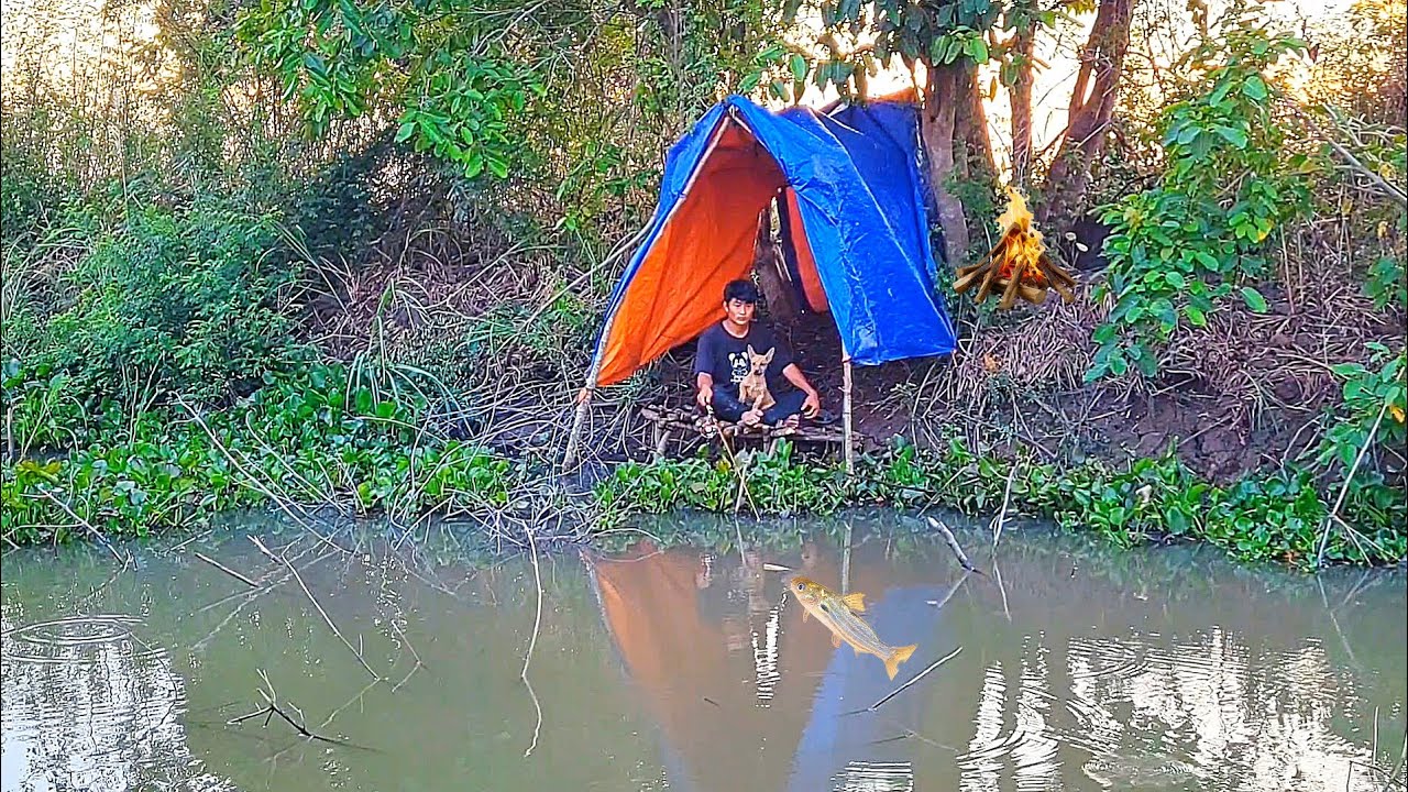 Camping fishing by the river with the little dog | cookingso