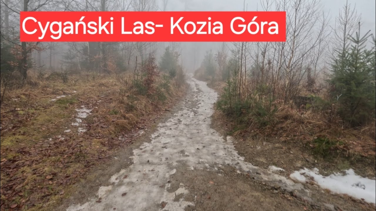 Cygański Las  * Kozia Góra * Beskid Śląski