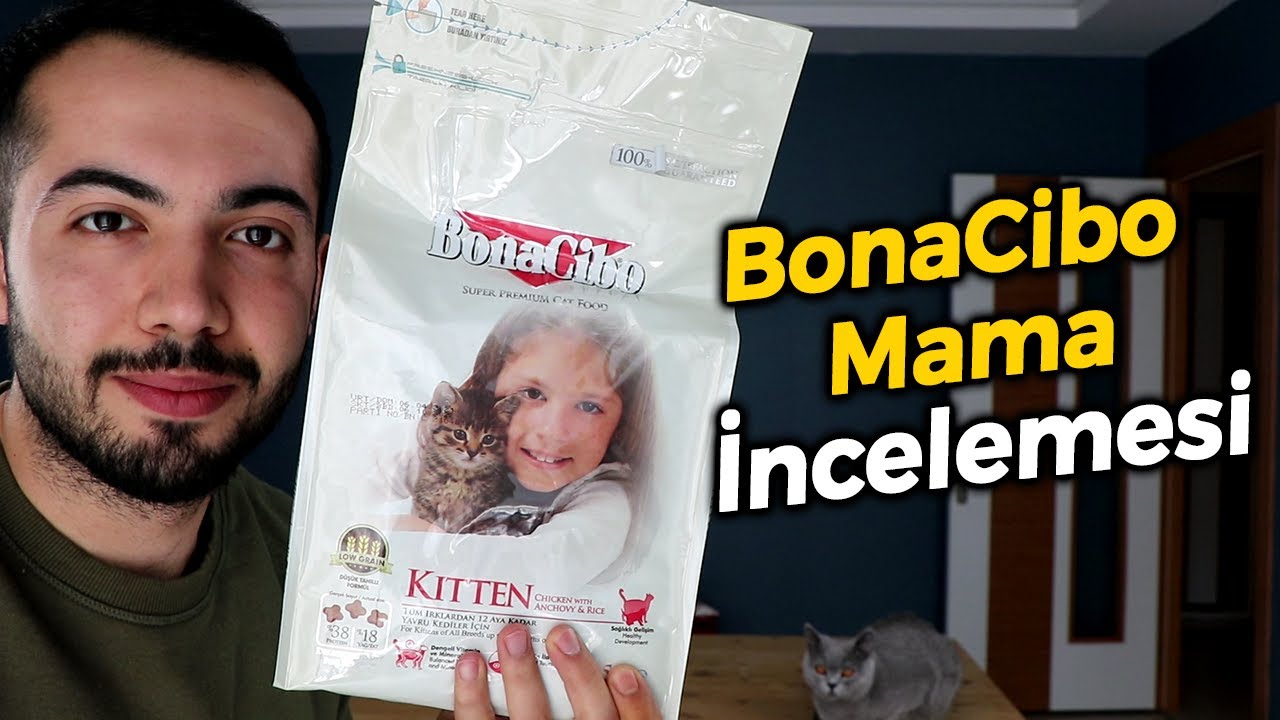 Bonacibo Kedi Maması İncelemesi (YAVRU KEDİ MAMASI İNCELEME) #Bonacibo #Kedimaması