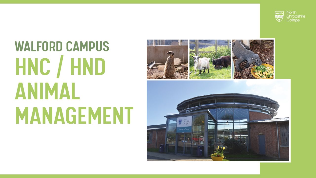 Find out more about the HND in Animal Care at Walford Campus!