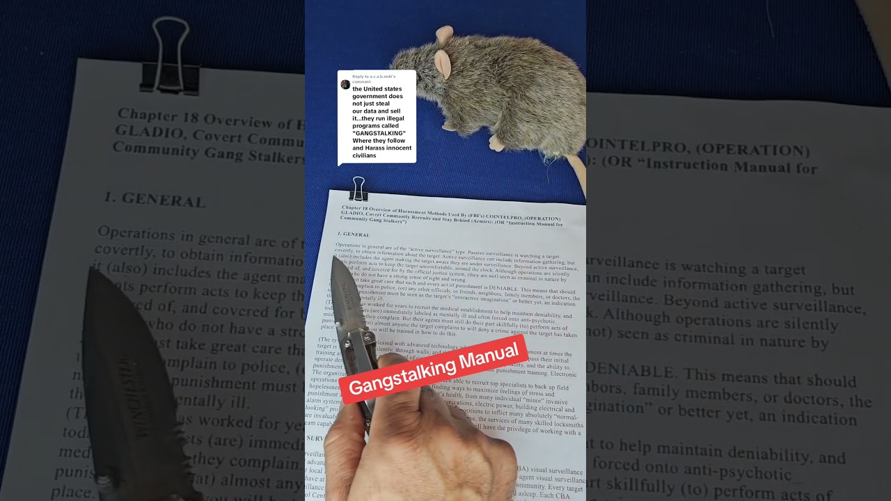 Gangstalking Manual #gangstalkers
