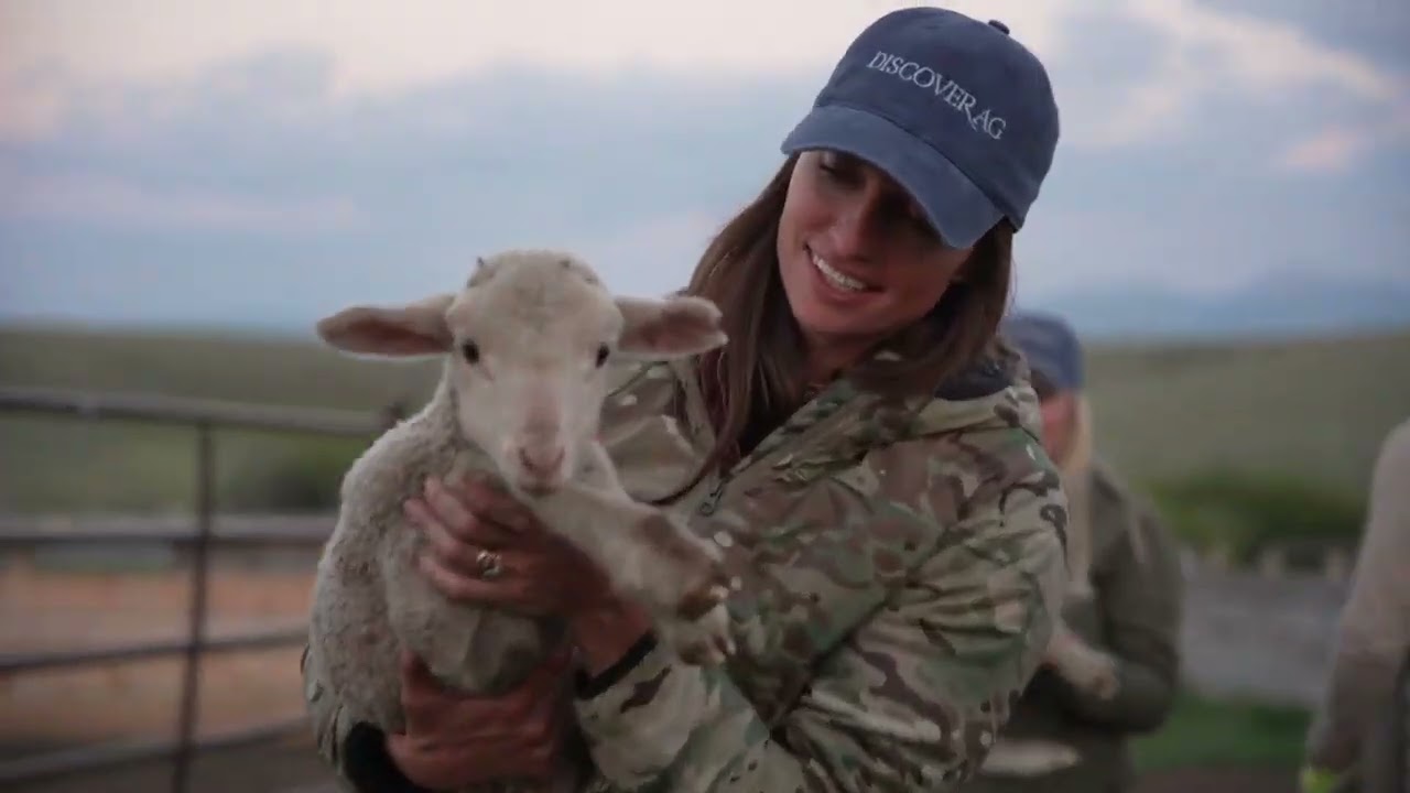 SHEEP TRAIL PART 1 | Moving 10,000 Sheep Through the Mountains — You Have to See This!!!
