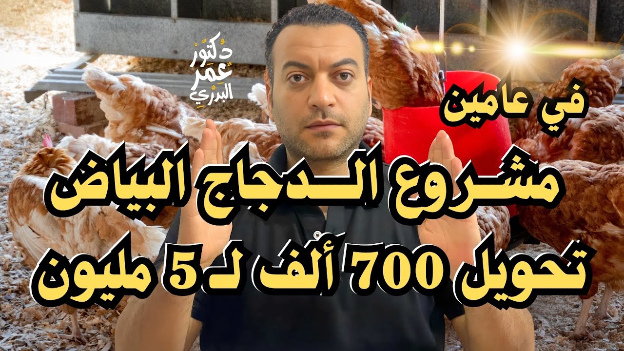 بأرباح ٢.٥ مليون في سنتين مشروع الدجاج البياض | دراسة جدوى كاملة من الألف للياء👌