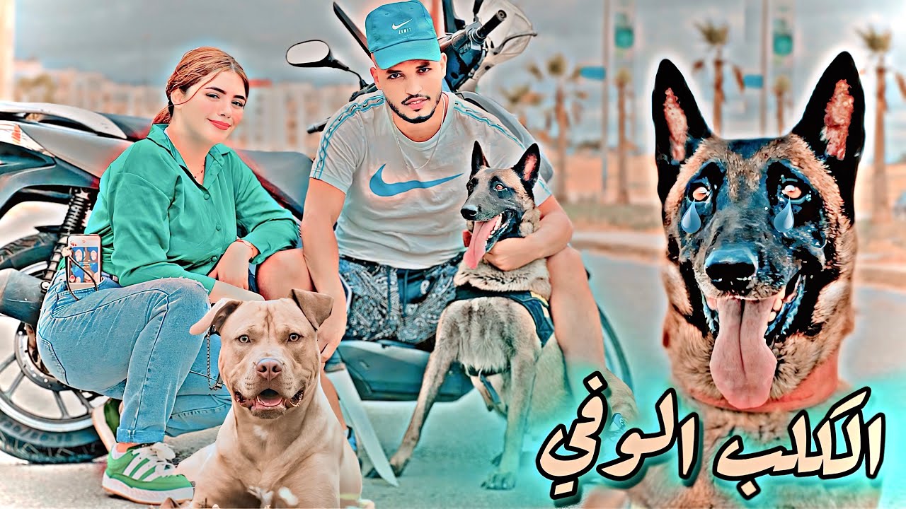 فيلم قصير / كلب شجاع يضحي بحياته لإنقاذ صاحبه ولكن للأسف🥹( الكلب الوفي🐶)