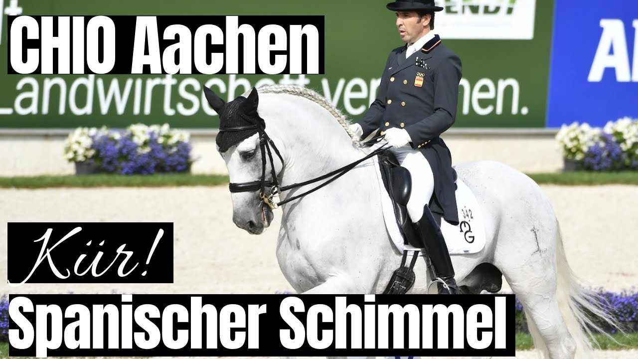 Spanische Schimmel-Power in der Kür 🤩 | Claudio Castilla Ruiz & Icaro MG | CHIO Aachen