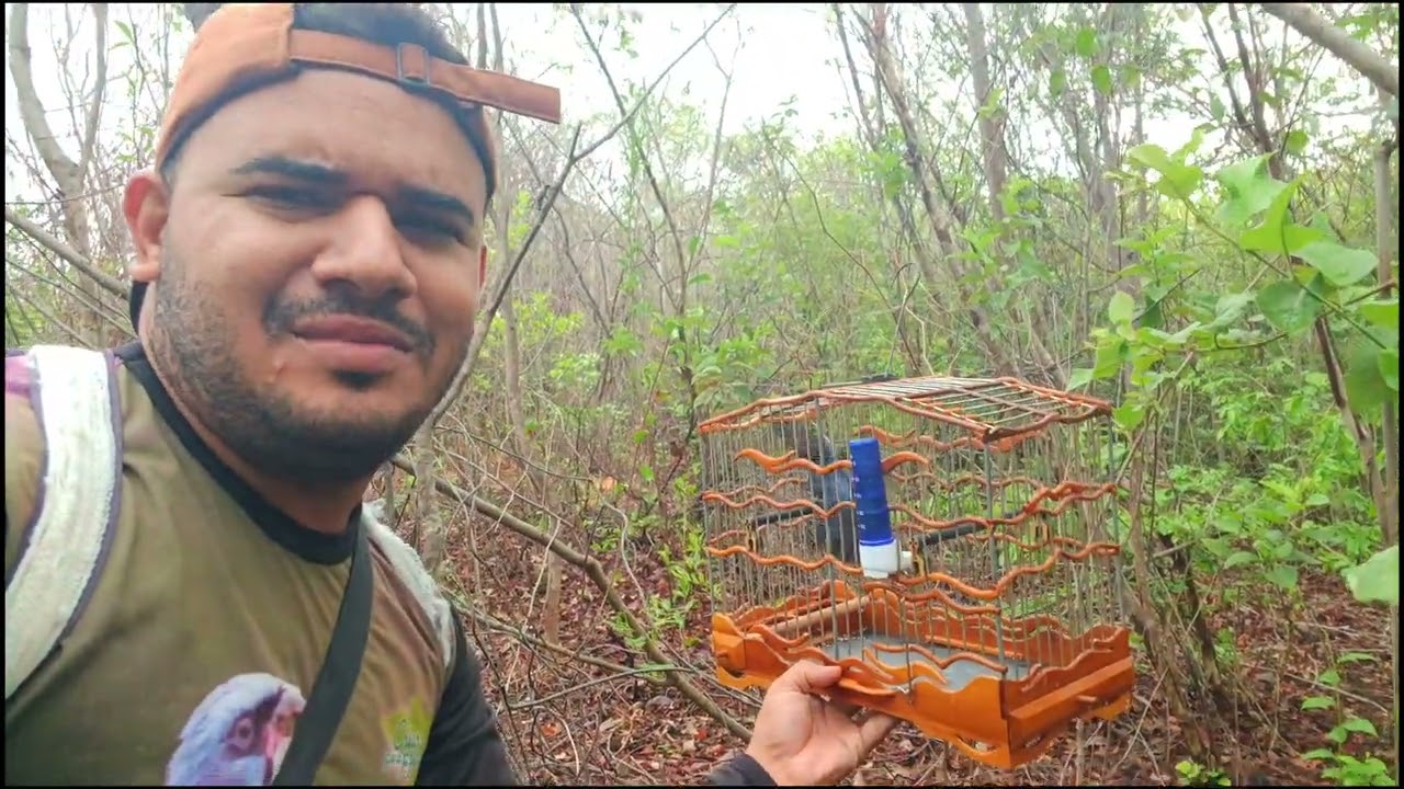 CAMPEADA DE AZULÃO ( INVERNO DE 2026 )