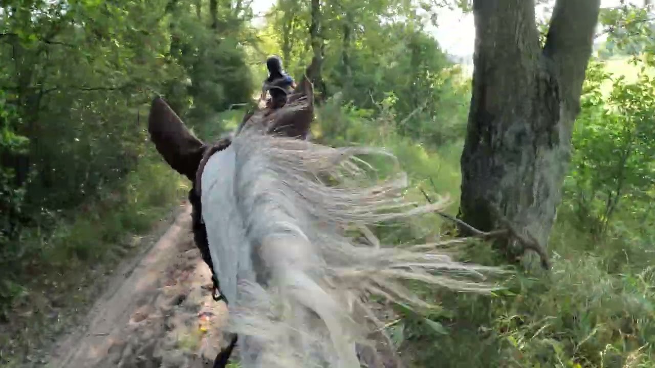 Terenik na krakersie💘