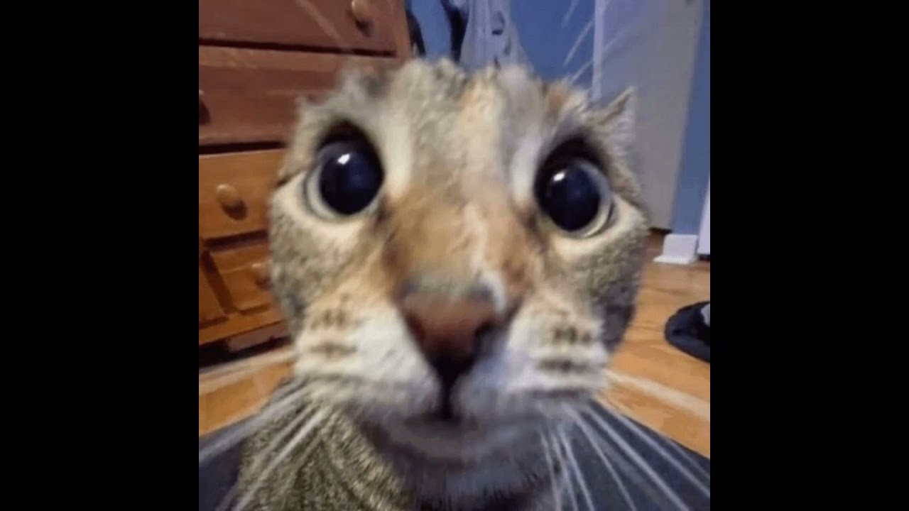 eve - Tokyo ghetto (speed up 🚅)