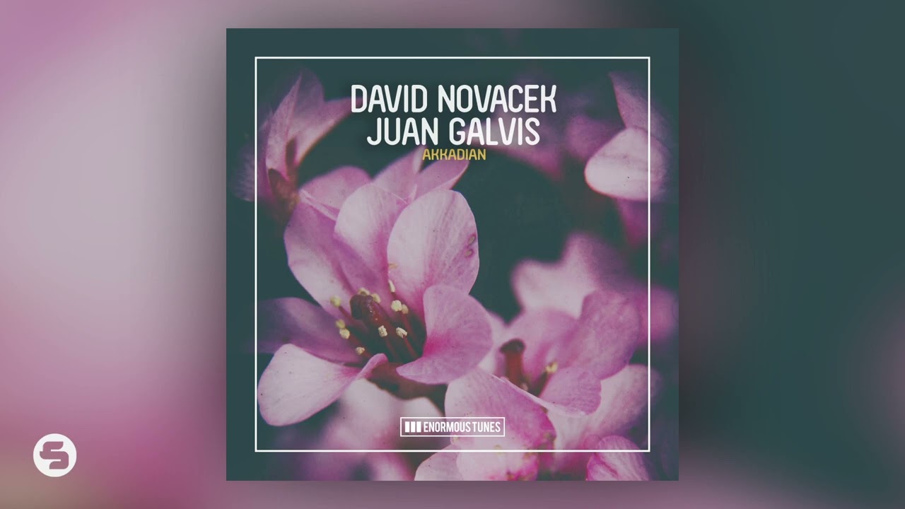 David Novacek & Juan Galvis - Akkadian