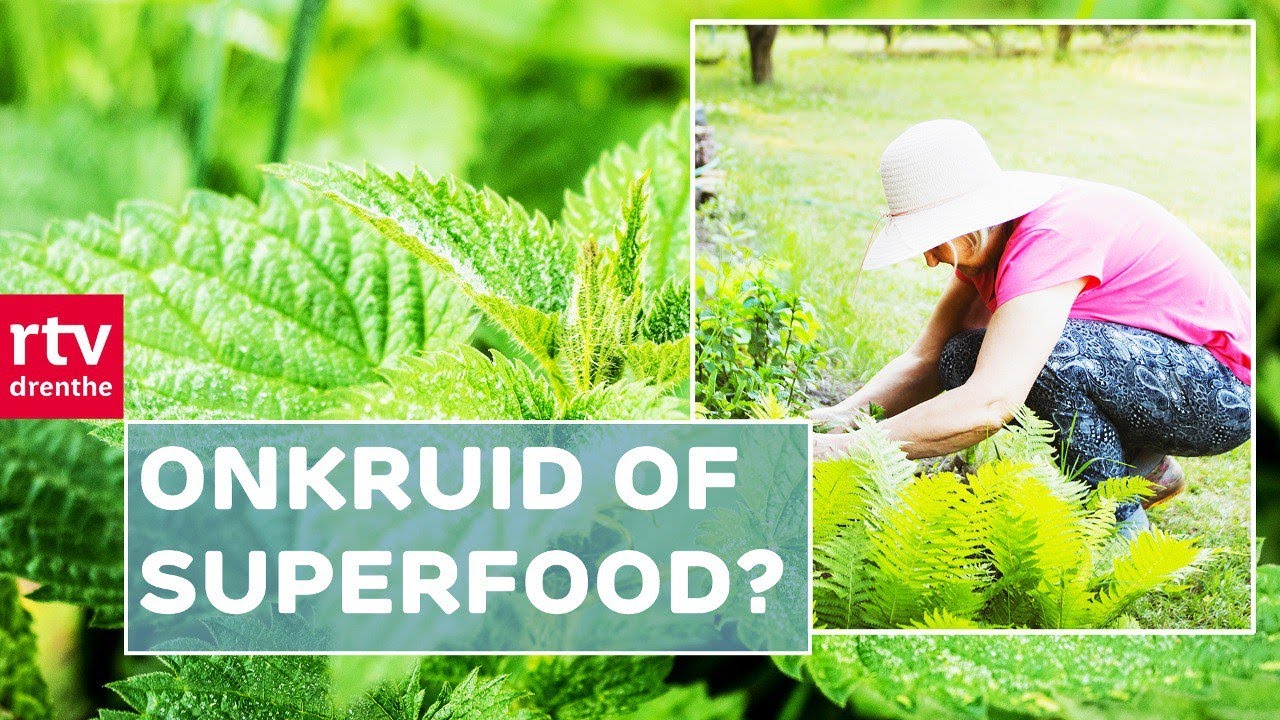 Wildplukken in eigen tuin: 
