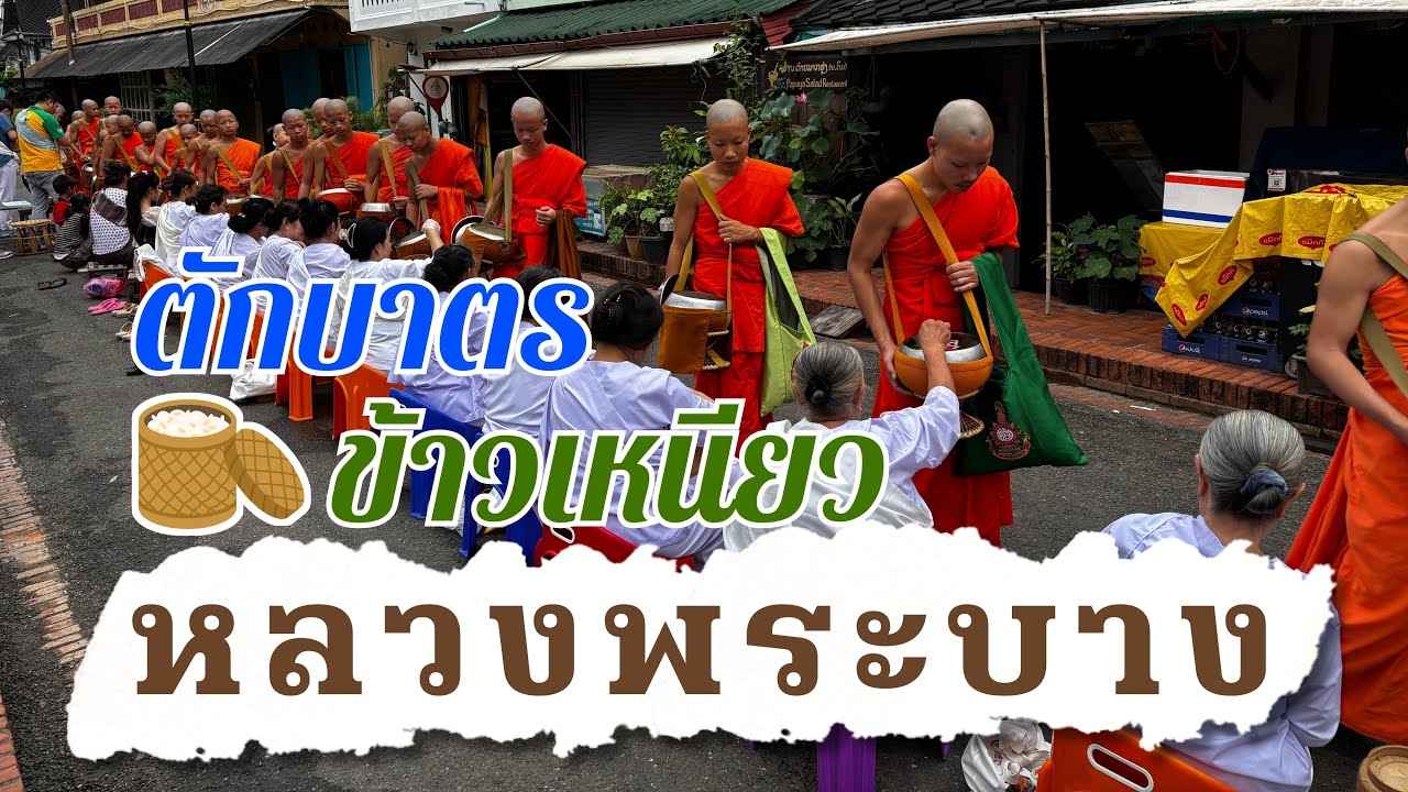 เที่ยวเมืองมรดกโลก ตักบาตรข้าวเหนียว เล่นน้ำตกตาดกวางสี ทำบุญวัดเชียงทอง | หลวงพระบาง สปป.ลาว