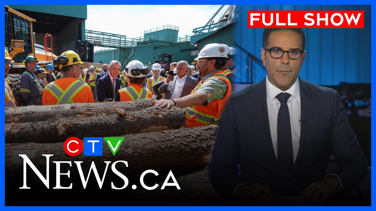 Mounting tariffs devastate Canada’s lumber industry | CTV National News for Tuesday, Oct. 14, 2025