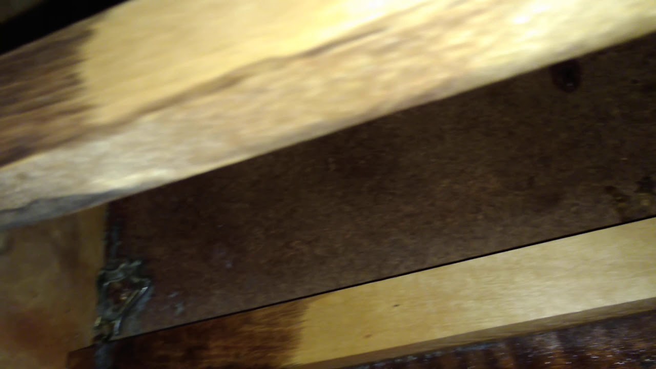 Cockroaches Pest Control Toronto