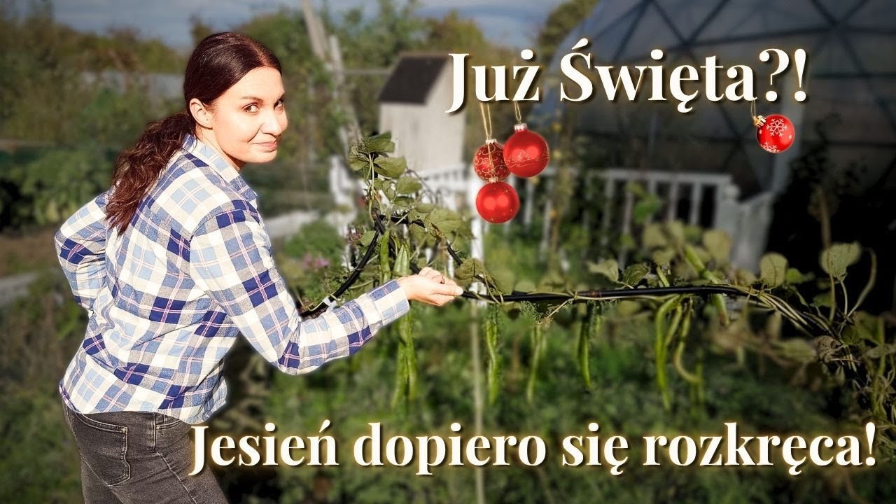 Zatrzymajmy na chwilę bieg. Jeszcze jesień w pełni – smak rogalików z powidłami i zapach wiatru