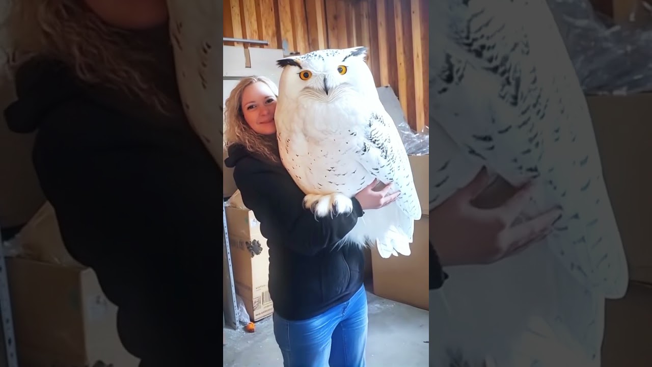 AI Owl Speaks Human Language Like a MAGICIAN! 🦉✨ 