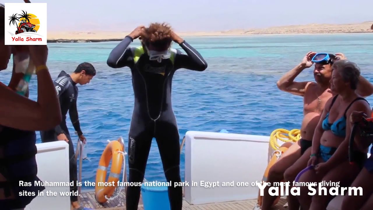 رحلة الجزيره البيضاء راس محمد - يالا شرم - Yalla Sharm