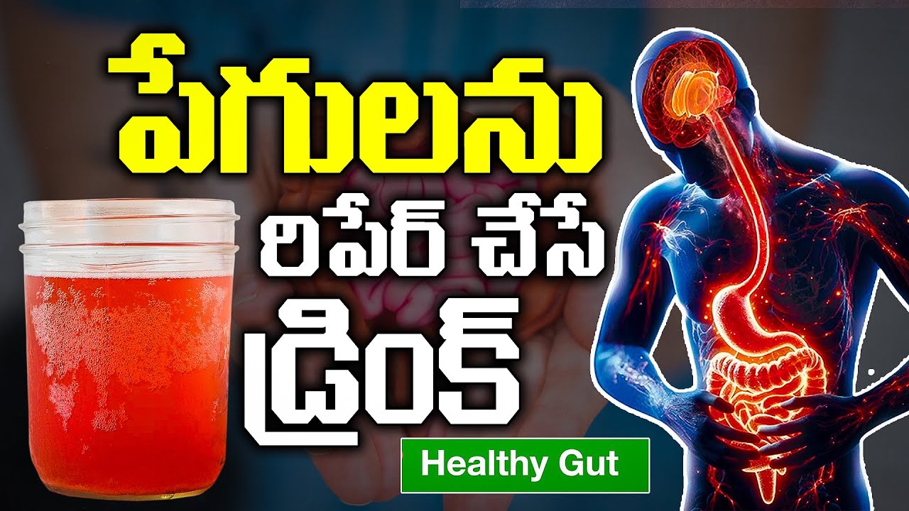 ప్రోబయాటిక్స్ ఆరోగ్యానికి పర్పెక్ట్ మెడిసిన్ | Colon Cleanse at Home | Improve Your Gut Health