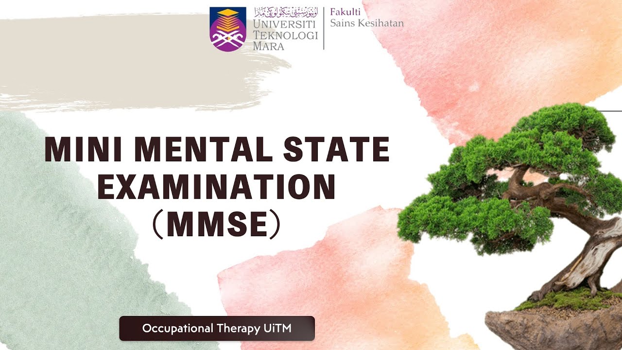 MINI MENTAL STATE EXAMINATION (MMSE)