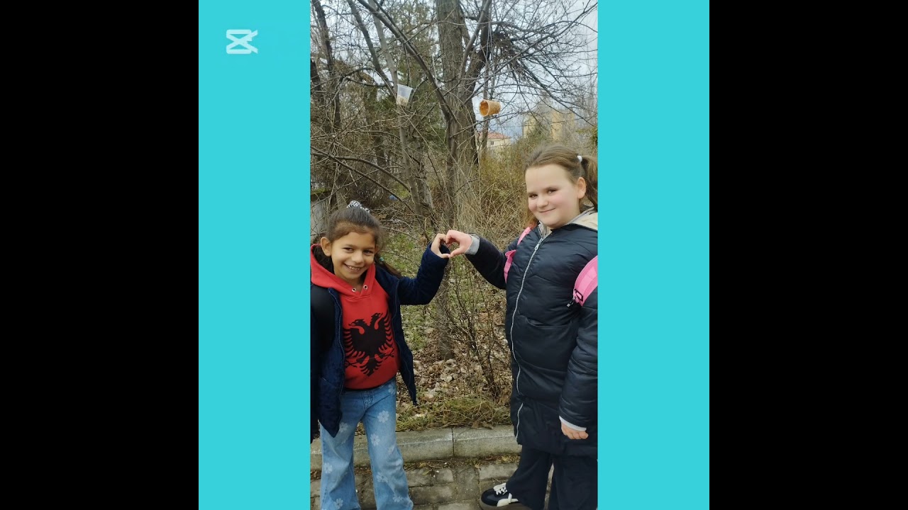 NE KUJDESEMI PËR ZOGJTË!