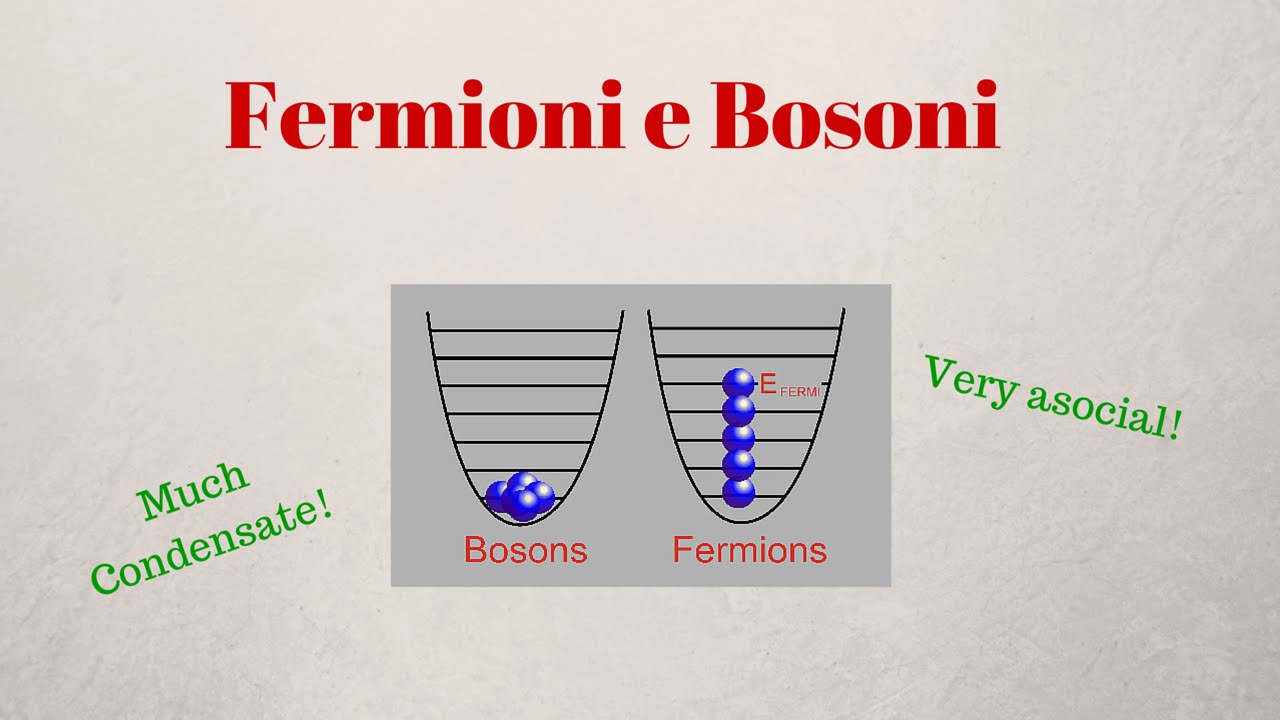 Fermioni e Bosoni (gli stati della materia)