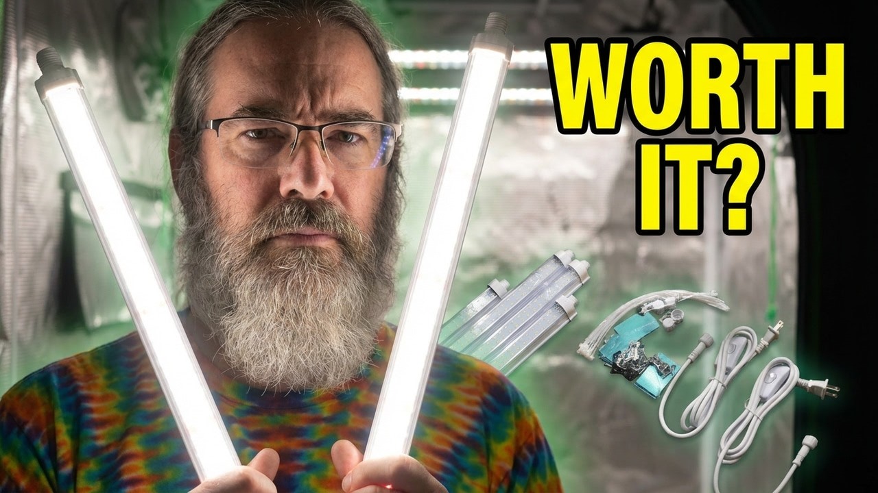 Новый светящийся фонарь Spider Farmer GlowBar 20D | Распаковка с Чадом Вестпортом